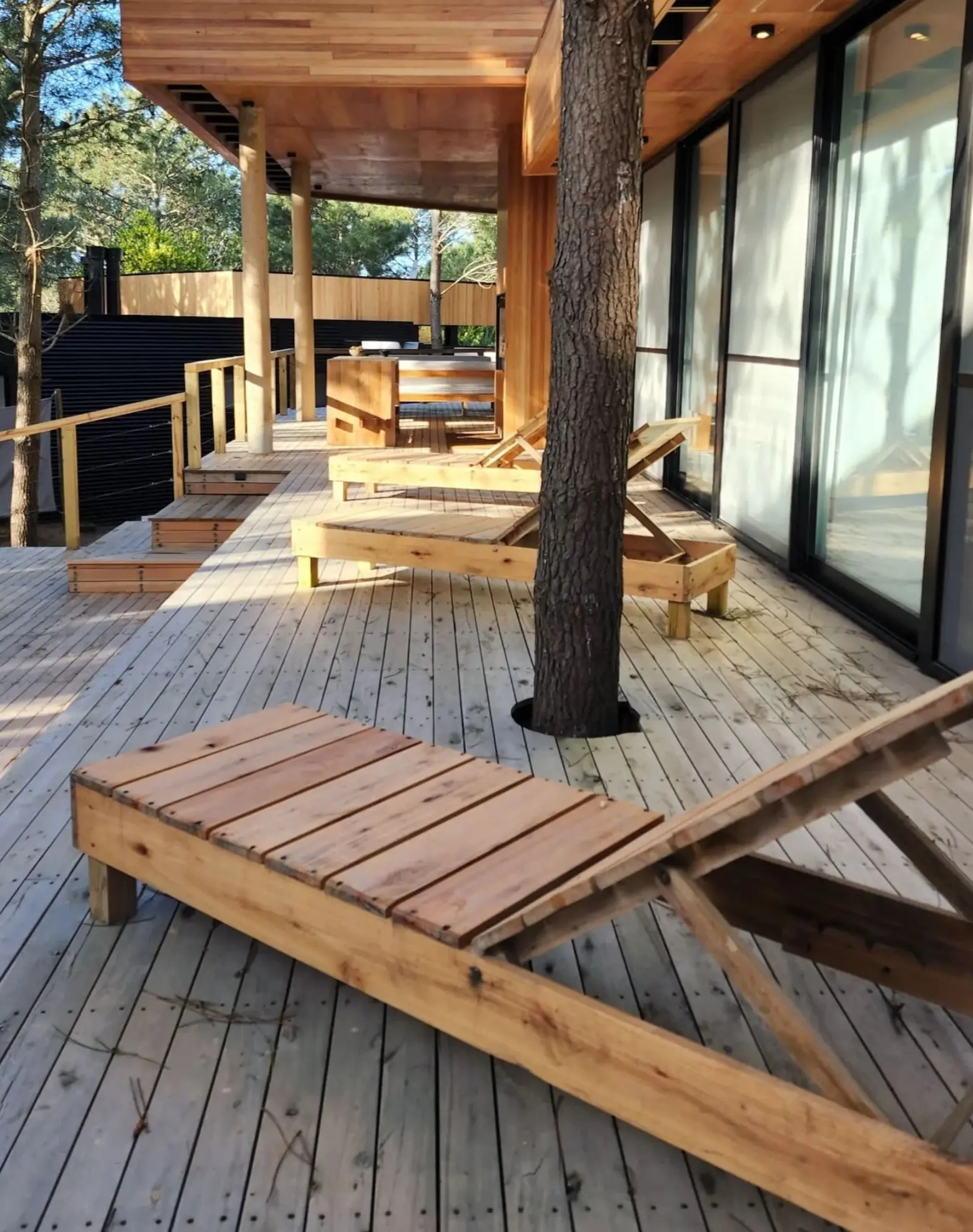 Illustration étude et conception